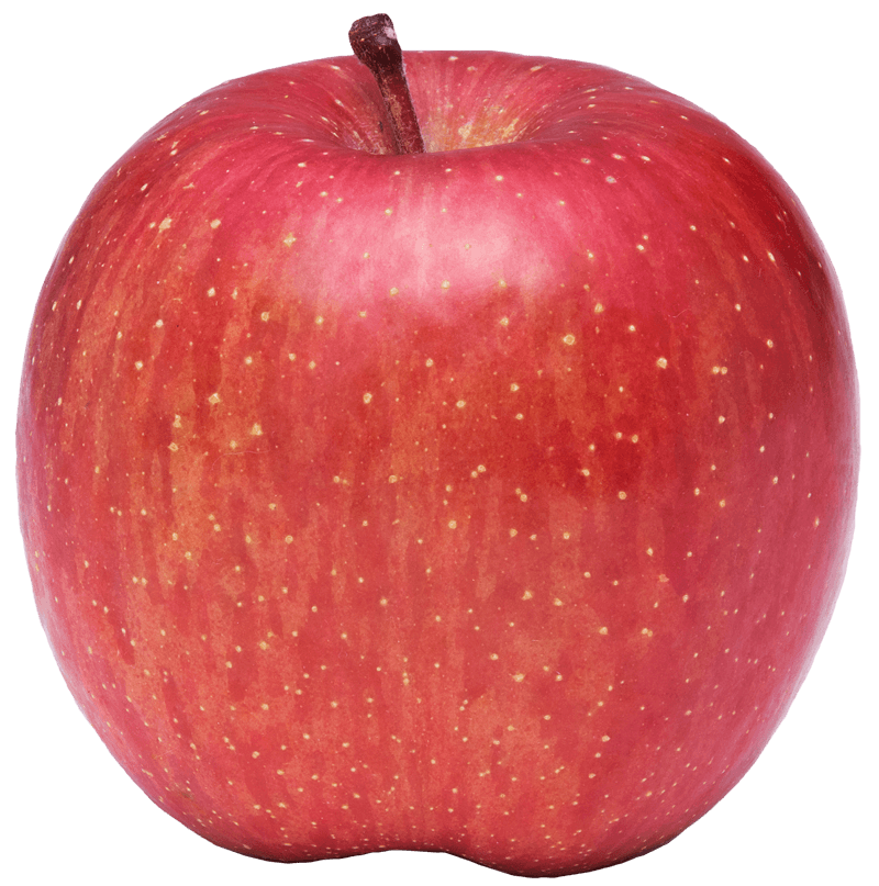 りんご」の基本情報(きほんじょうほう) - あおもりりんごforキッズ