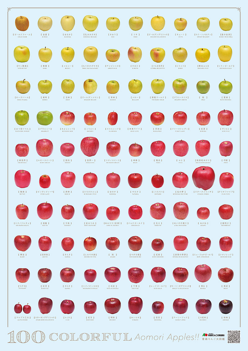 100種類の青森りんごアートポスターA3